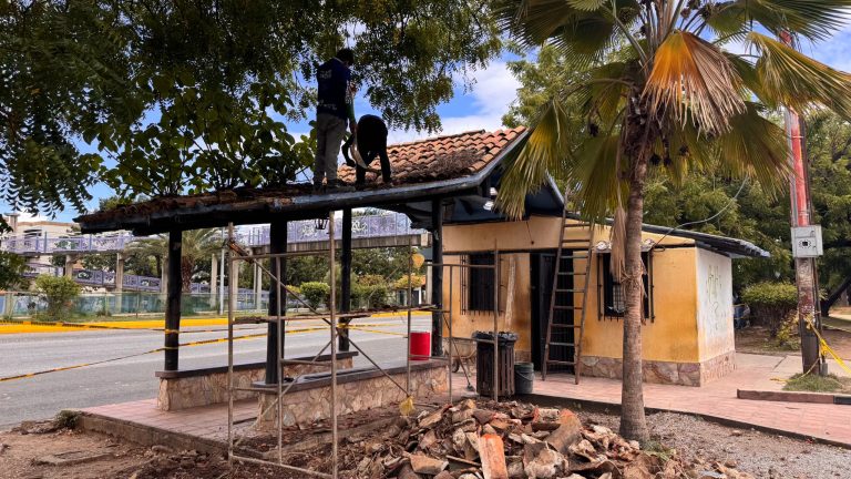 IMG-20260610-WA0008